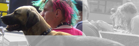 Aids, Armut, Drogen, Strich, Kriminalit&auml;t, Obdachlosigkeit, Punks, Autonome, Hausbesetzer&hellip; das andere Berlin